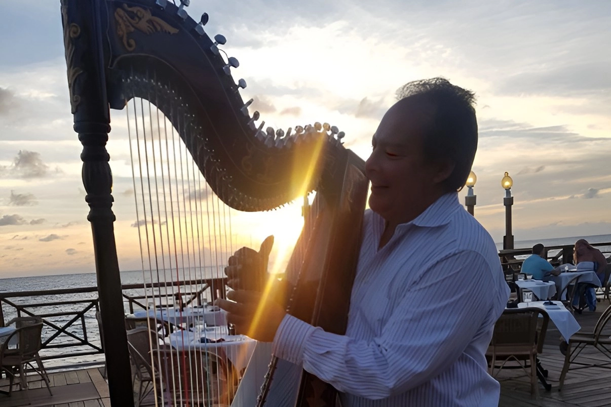 Harpist Extraordinaire - Offering a Musical Touch to Your Dining