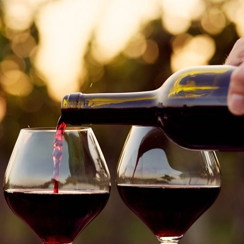 Are you a Wine Enthusiast? Some Facts about Your Favourite Flavour