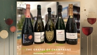 Wine Tasting Grapes of champagne