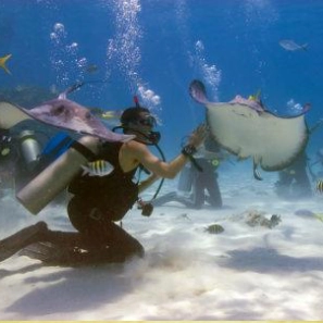 Fodor’s Top 5 Must Have Experiences
