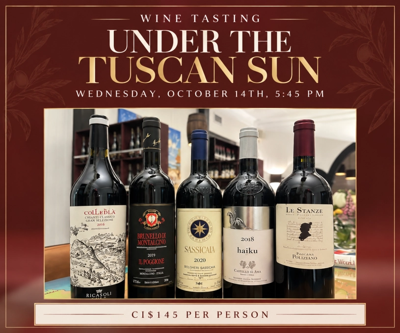 Wine Tasting 🍷 UNDER THE TUSCAN SUN